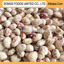 Type of dried kidney beans in China